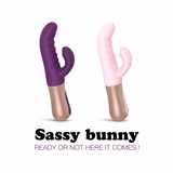 Vibromasseur & Stimulateur Clitoridien - Sassy Bunny - Purple Rain - Love to Love